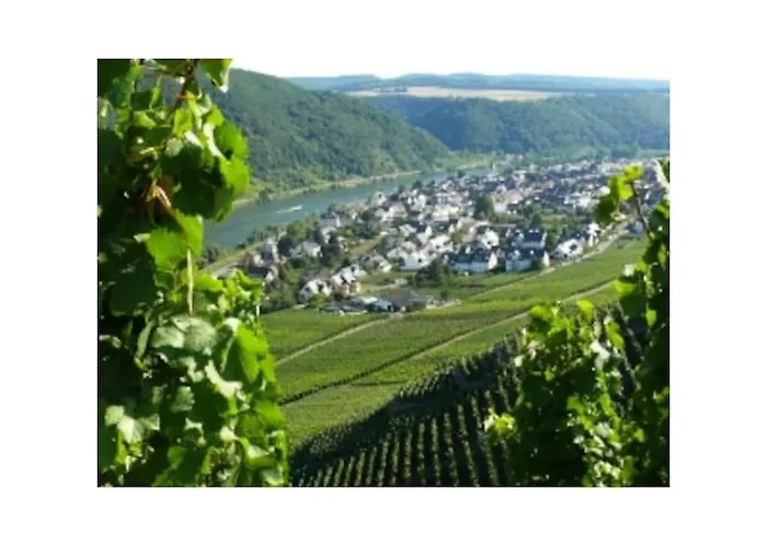 펜션 4-star Weber 빈닌겐