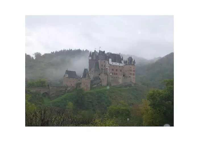 4-star Weber 펜션 *